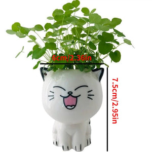 Planet Gates 1pc Ceramic Flowerpot Mini Cat Cartoon Cute Potted Plant Desktop Cat Plant Pot DIY Desk Decorate Science Education School Gifts