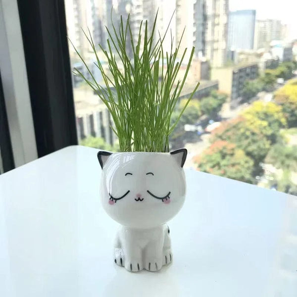 Planet Gates 1pc Ceramic Flowerpot Mini Cat Cartoon Cute Potted Plant Desktop Cat Plant Pot DIY Desk Decorate Science Education School Gifts