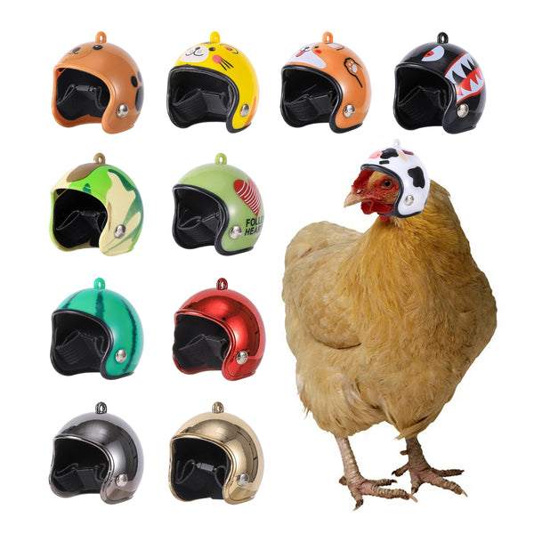 Planet Gates 1Pc Chicken Helmet Small Pet Hard Hat Bird Quail Pigeon Hat Headgear Pet Bird Helmet DIY Cartoon Character Helmet Pet Supplies