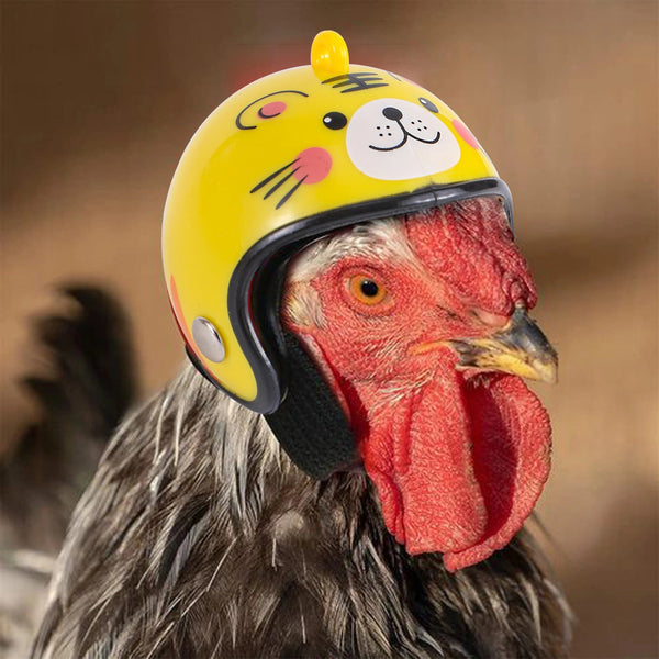 Planet Gates 1Pc Chicken Helmet Small Pet Hard Hat Bird Quail Pigeon Hat Headgear Pet Bird Helmet DIY Cartoon Character Helmet Pet Supplies