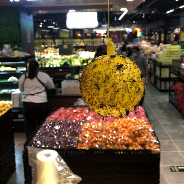 Planet Gates 1pc Cute Ball Design Sticky Traps: Capture Fruit Flies, Mosquitoes & Other Flying Insects Indoors & Outdoors Fly Catcher Non-toxic Rescue Outdoor Fly Trap Ball Insect Trap To Hang Up For Balcony, Patio, Garden Supplies