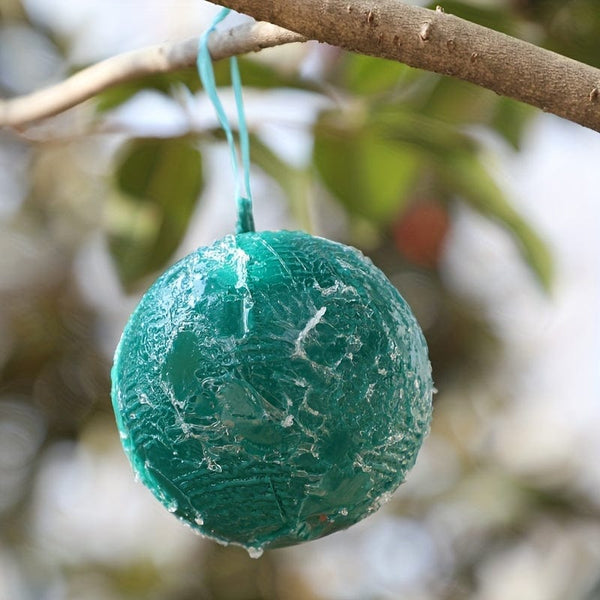 Planet Gates 1pc Cute Ball Design Sticky Traps: Capture Fruit Flies, Mosquitoes & Other Flying Insects Indoors & Outdoors Fly Catcher Non-toxic Rescue Outdoor Fly Trap Ball Insect Trap To Hang Up For Balcony, Patio, Garden Supplies