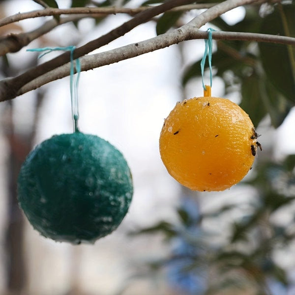 Planet Gates 1pc Cute Ball Design Sticky Traps: Capture Fruit Flies, Mosquitoes & Other Flying Insects Indoors & Outdoors Fly Catcher Non-toxic Rescue Outdoor Fly Trap Ball Insect Trap To Hang Up For Balcony, Patio, Garden Supplies