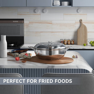 Planet Gates 1pc Deep Fryer, Frying Pan With Lid, Stainless Steel Fryer With Temperature Control And Oil Drop Filter Rack, Suitable For Kitchen French Fries, Chicken And More, Gas Stove Electromagnetic Stove Universal, Kitchen Cookware