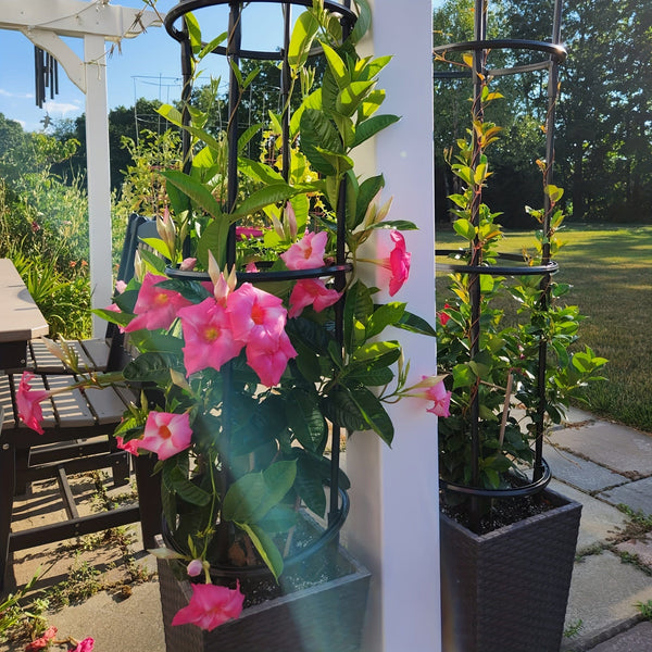 Planet Gates 1pc Garden Obelisk Trellis For Climbing Plants Outdoor, Rustproof Plant Support White, 109.22/143.0cm