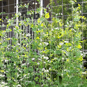 Planet Gates 1pc Garden Plant Shed Rack Net For Climbing Plants And Vegetables Plant Support Rack Gardening Plants Climbing Flowers Vines Vegetable Growth Grid Protection Universal For Cucumber Tomato Grape And Various Growing