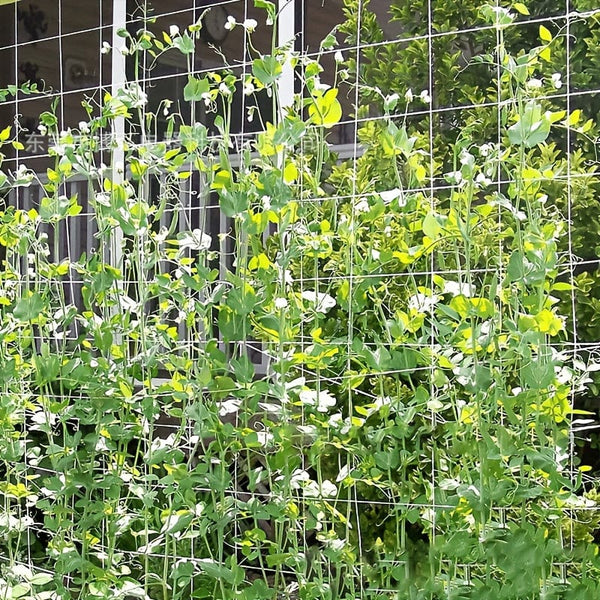 Planet Gates 1pc Garden Plant Shed Rack Net For Climbing Plants And Vegetables Plant Support Rack Gardening Plants Climbing Flowers Vines Vegetable Growth Grid Protection Universal For Cucumber Tomato Grape And Various Growing