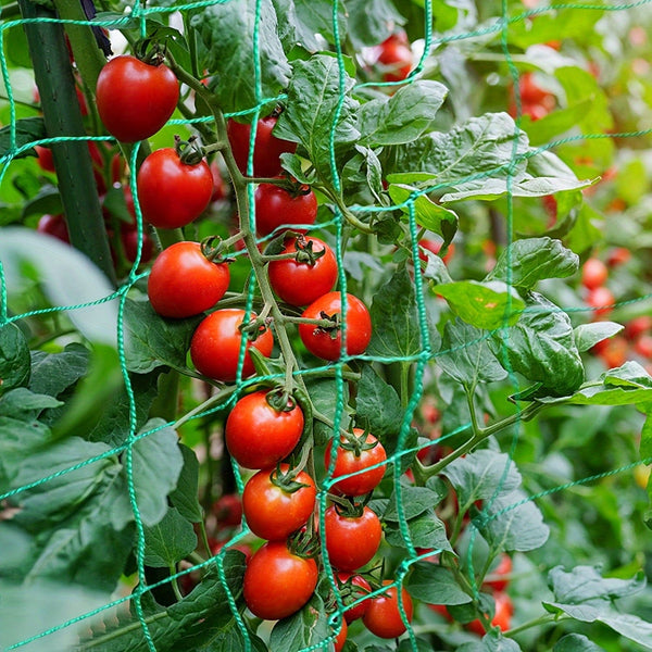 Planet Gates 1pc Garden Trellis For Climbing Plants Outdoor, Trellis Netting For Cucumber, Tomato, Plant Trellis Net With 10.16x10.16 Cm Mesh As Vegetable Trellis For Grape, Bean, Growing Pea