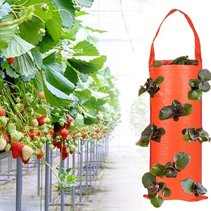 Planet Gates 1pc Hanging Flower Strawberry Planting Bags, Planting Fruits, Herbs, Flowers, UV Treatment, Wall Mount Planter Growing Bag With 8 Holes, Garden Tools