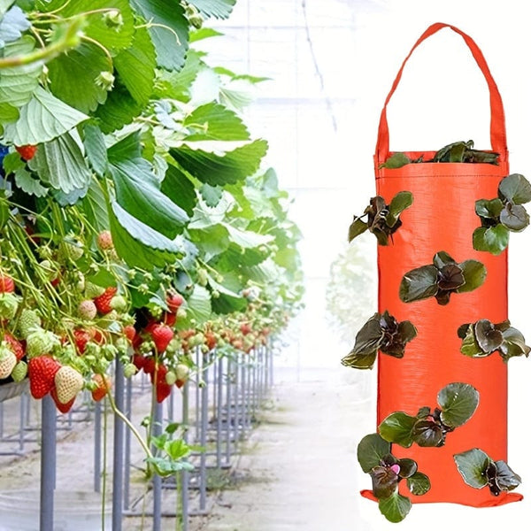 Planet Gates 1pc Hanging Flower Strawberry Planting Bags, Planting Fruits, Herbs, Flowers, UV Treatment, Wall Mount Planter Growing Bag With 8 Holes, Garden Tools