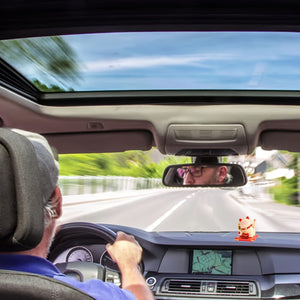 Planet Gates 1pc Lucky Beckoning Cat Solar Powered Waving Wealth Cat Decor For Shop Home Car