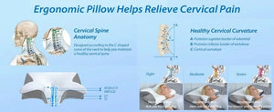 Planet Gates 1pc Memory Foam Cervical Pillow Fast Rebound Memory Sleeping Pillows 2in1 Ergonomic Orthopedic Pillow for Neck Pain Neck Pillow