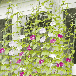 Planet Gates 1pc, Plant Climbing Net For Climbing Plants, Planting Supplies And Tools, Green Grid Net For Climbing Plants, Garden Flower And Plant Supplies, Garden Balcony Gardening Beauty Planting Supplies, Flower Pots