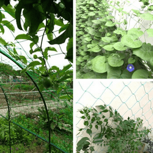 Planet Gates 1pc, Plant Climbing Net For Climbing Plants, Planting Supplies And Tools, Green Grid Net For Climbing Plants, Garden Flower And Plant Supplies, Garden Balcony Gardening Beauty Planting Supplies, Flower Pots