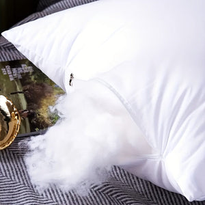 Planet Gates 1pc Soft And Fluffy Throw Pillow Inserts, White Pillow Core, For Sofas And Beds Couch Bedroom Home Decor