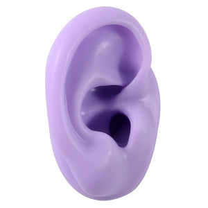 Planet Gates 1PC Soft Ear Silicone Piercing Model Tattoo Practice Tools Earring Jewelry Display Acrylic Display Stand Kit Hot Sale