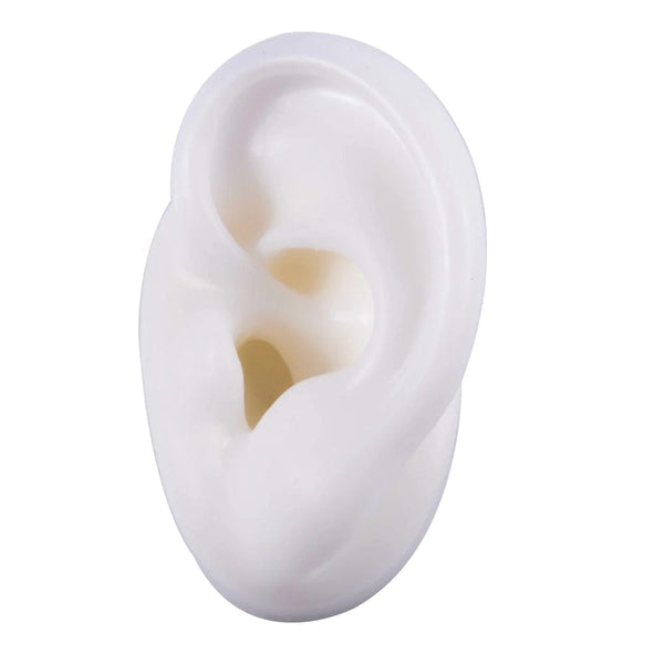 Planet Gates 1PC Soft Ear Silicone Piercing Model Tattoo Practice Tools Earring Jewelry Display Acrylic Display Stand Kit Hot Sale