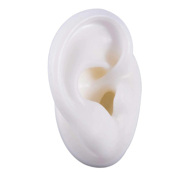 Planet Gates 1PC Soft Ear Silicone Piercing Model Tattoo Practice Tools Earring Jewelry Display Acrylic Display Stand Kit Hot Sale