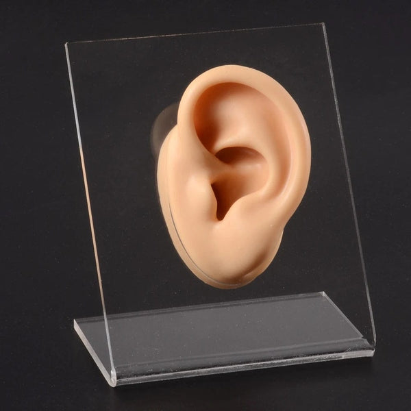 Planet Gates 1PC Soft Ear Silicone Piercing Model Tattoo Practice Tools Earring Jewelry Display Acrylic Display Stand Kit Hot Sale