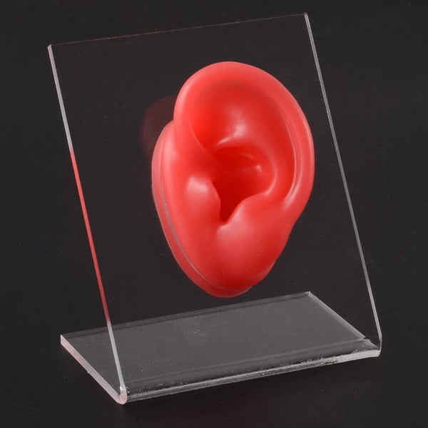 Planet Gates 1PC Soft Ear Silicone Piercing Model Tattoo Practice Tools Earring Jewelry Display Acrylic Display Stand Kit Hot Sale