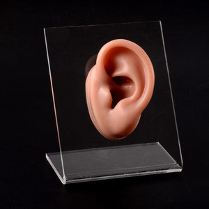 Planet Gates 1PC Soft Ear Silicone Piercing Model Tattoo Practice Tools Earring Jewelry Display Acrylic Display Stand Kit Hot Sale