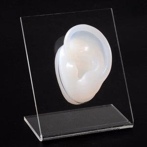 Planet Gates 1PC Soft Ear Silicone Piercing Model Tattoo Practice Tools Earring Jewelry Display Acrylic Display Stand Kit Hot Sale
