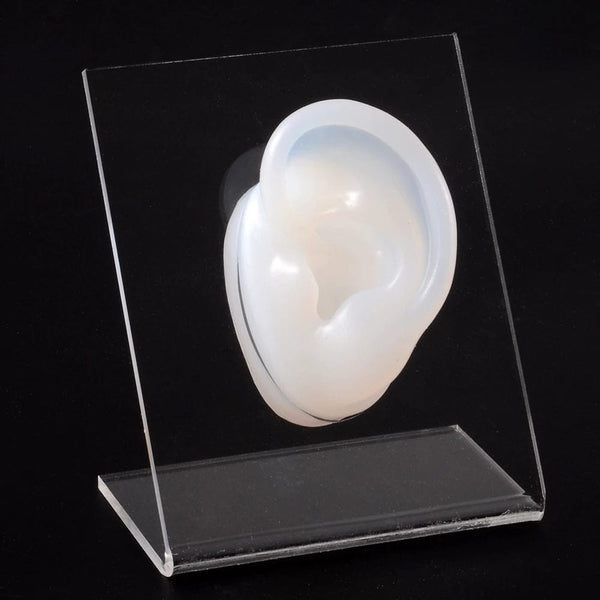 Planet Gates 1PC Soft Ear Silicone Piercing Model Tattoo Practice Tools Earring Jewelry Display Acrylic Display Stand Kit Hot Sale