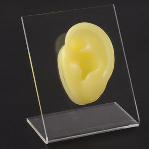 Planet Gates 1PC Soft Ear Silicone Piercing Model Tattoo Practice Tools Earring Jewelry Display Acrylic Display Stand Kit Hot Sale