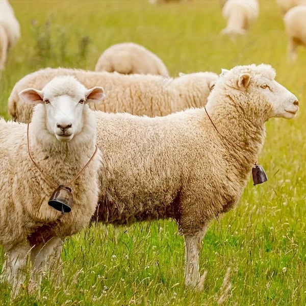 Planet Gates 1pc Super Loud Cow Bell, Sheep Bell, Pet Anti Loss DIY Bell, Wind Bell Pendant, Vintage Metal Cow Bell, Cattle, Horse, Sheep Grazing Bell, Farm Animal Anti Loss Bell, Loud And Crisp Dissemination DIY Accessories