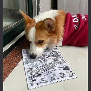 Planet Gates 1pc Tearproof Pet Dog Sound Toy Simulated Squeaking Newspaper Playingcard K Q J Teeth Resistant Corgi Teddy Puppy Interactive