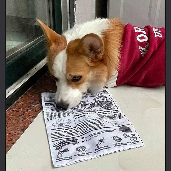 Planet Gates 1pc Tearproof Pet Dog Sound Toy Simulated Squeaking Newspaper Playingcard K Q J Teeth Resistant Corgi Teddy Puppy Interactive