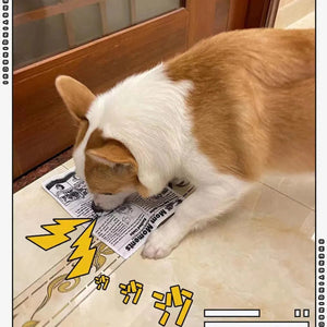 Planet Gates 1pc Tearproof Pet Dog Sound Toy Simulated Squeaking Newspaper Playingcard K Q J Teeth Resistant Corgi Teddy Puppy Interactive