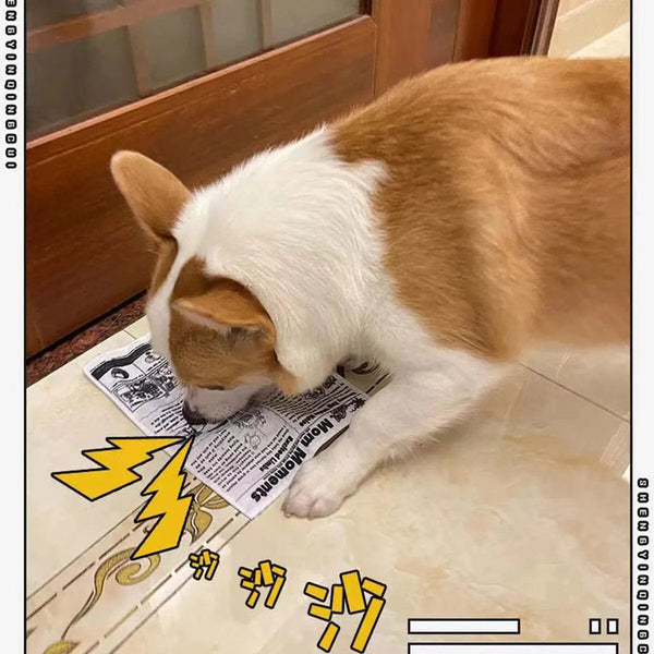 Planet Gates 1pc Tearproof Pet Dog Sound Toy Simulated Squeaking Newspaper Playingcard K Q J Teeth Resistant Corgi Teddy Puppy Interactive