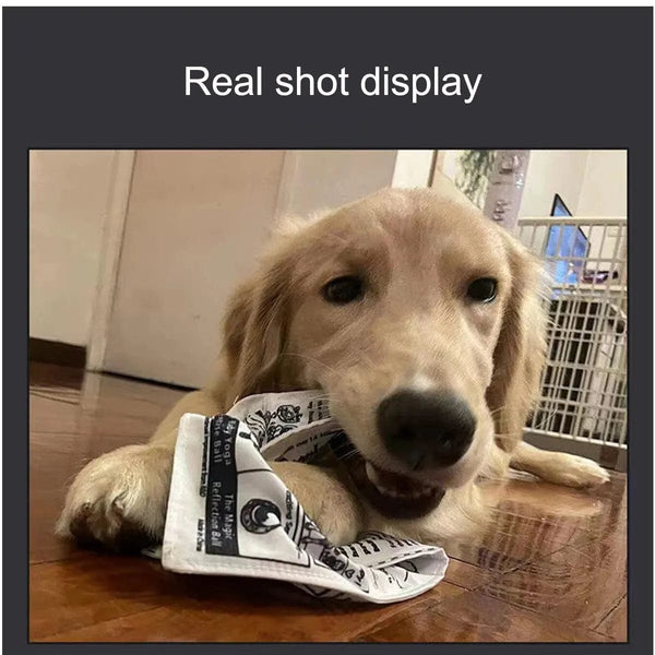 Planet Gates 1pc Tearproof Pet Dog Sound Toy Simulated Squeaking Newspaper Playingcard K Q J Teeth Resistant Corgi Teddy Puppy Interactive