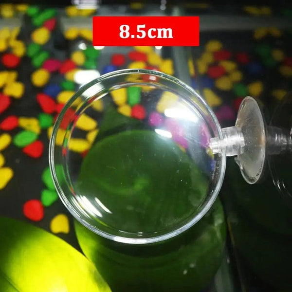 Planet Gates 1Pc Transparent Acrylic Shrimp Feeder Aquarium Feeding Bowl Fish Tank Feeder Tropical Fish Ratfish Round Tray Feeding Dish