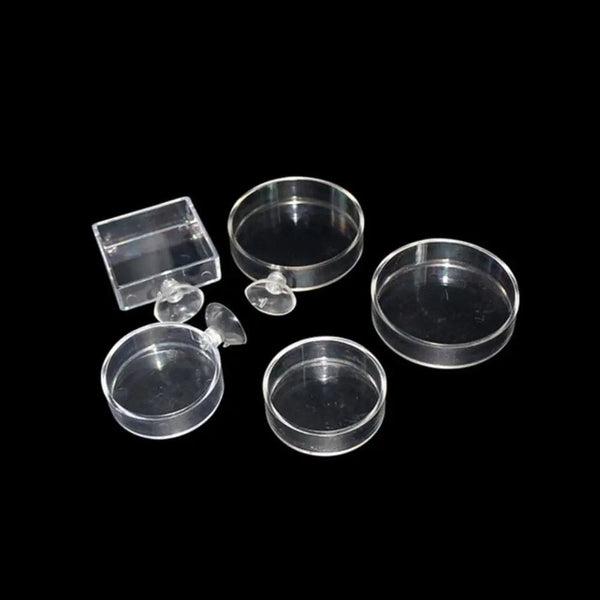 Planet Gates 1Pc Transparent Acrylic Shrimp Feeder Aquarium Feeding Bowl Fish Tank Feeder Tropical Fish Ratfish Round Tray Feeding Dish