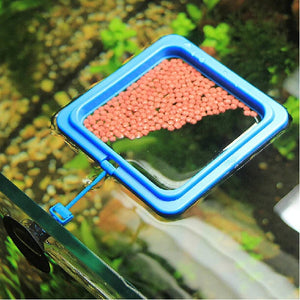 Planet Gates 1Pc Transparent Acrylic Shrimp Feeder Aquarium Feeding Bowl Fish Tank Feeder Tropical Fish Ratfish Round Tray Feeding Dish