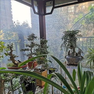 Planet Gates 1pc Transparent Tarp With Reinforced Gommets, Waterproof Tarpaulin Cover Enclosure For Greenhouse Balcony Garden Patio Porch Canopy Camping Outdoor Tent Cover