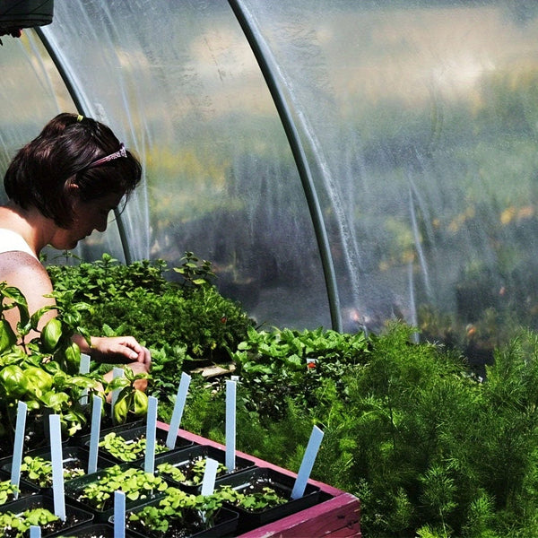 Planet Gates 1pc Transparent Tarp With Reinforced Gommets, Waterproof Tarpaulin Cover Enclosure For Greenhouse Balcony Garden Patio Porch Canopy Camping Outdoor Tent Cover