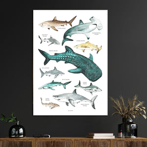 Planet Gates 1pc Various Sharks Canvas Wall Art, Sharks Prints On Canvas, Shark Species Wall Art Poster, Wall Decor For Nursery Kids Room Bathroom Bedroom Office Living Room Home Wall Decor