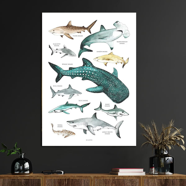 Planet Gates 1pc Various Sharks Canvas Wall Art, Sharks Prints On Canvas, Shark Species Wall Art Poster, Wall Decor For Nursery Kids Room Bathroom Bedroom Office Living Room Home Wall Decor