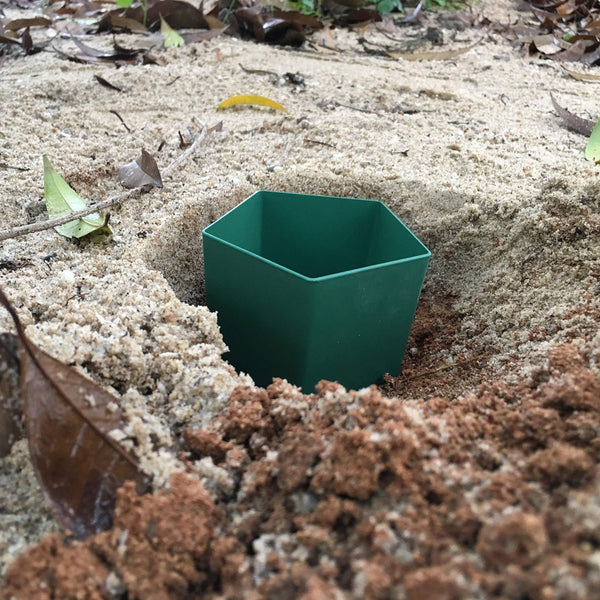 Planet Gates 1Pcs 1pc Snail Controller Snail Cage Insect Trap Garden Reptile Trap Vegetable Garden Plastic Insect Trap, Pest Control, garden tool