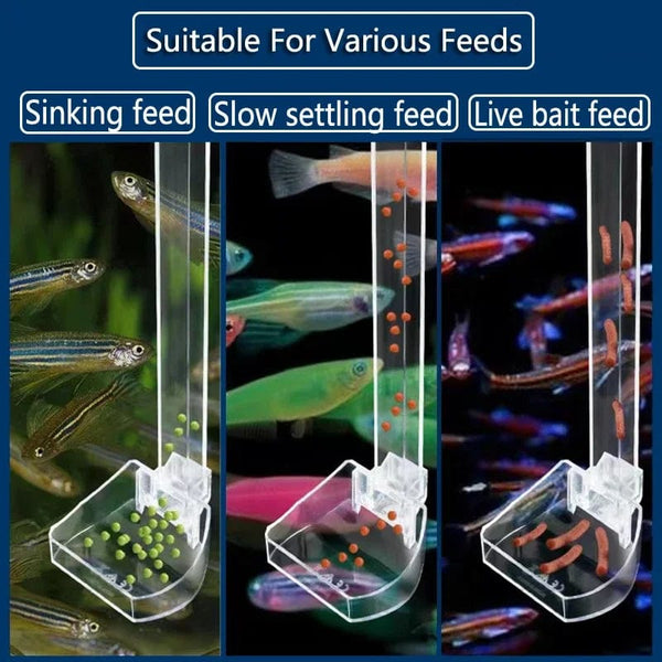 Planet Gates 1Set Acrylic Aquarium Feeder Tube Dish Transparent Fish Tank Shrimp Snail Shrimp Food Feeder Bowl Aquarium Feeding Accessories
