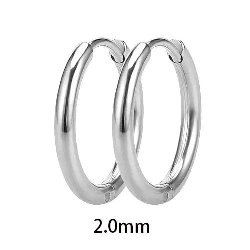 Planet Gates 2.0 mm stell / 10mm 2PC /Set Stainless Steel Small Hoop Earrings for Women Men Gold Color Black Circle Thick Ear Ring Huggie Earrings Hoop Piercing