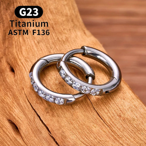 Planet Gates 2/20PCS G23 Titanium Earring Hoop CZ Hinged Segment Round Nose Ring for Women Ear Tragus Cartilage Helix Daith Piercing Jewelry