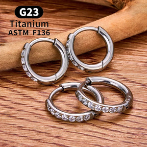 Planet Gates 2/20PCS G23 Titanium Earring Hoop CZ Hinged Segment Round Nose Ring for Women Ear Tragus Cartilage Helix Daith Piercing Jewelry