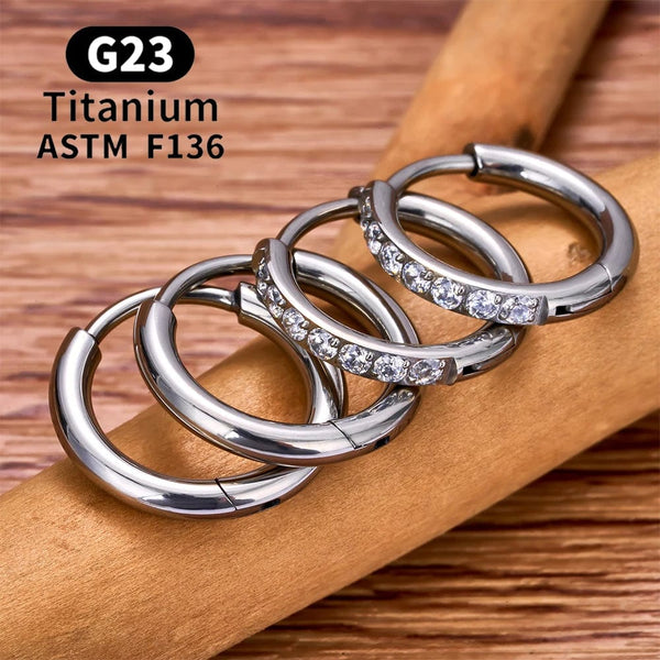 Planet Gates 2/20PCS G23 Titanium Earring Hoop CZ Hinged Segment Round Nose Ring for Women Ear Tragus Cartilage Helix Daith Piercing Jewelry
