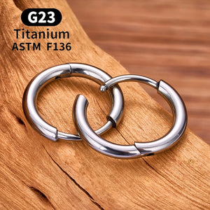 Planet Gates 2/20PCS G23 Titanium Earring Hoop CZ Hinged Segment Round Nose Ring for Women Ear Tragus Cartilage Helix Daith Piercing Jewelry