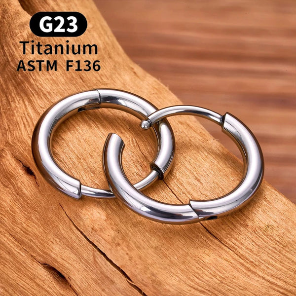 Planet Gates 2/20PCS G23 Titanium Earring Hoop CZ Hinged Segment Round Nose Ring for Women Ear Tragus Cartilage Helix Daith Piercing Jewelry