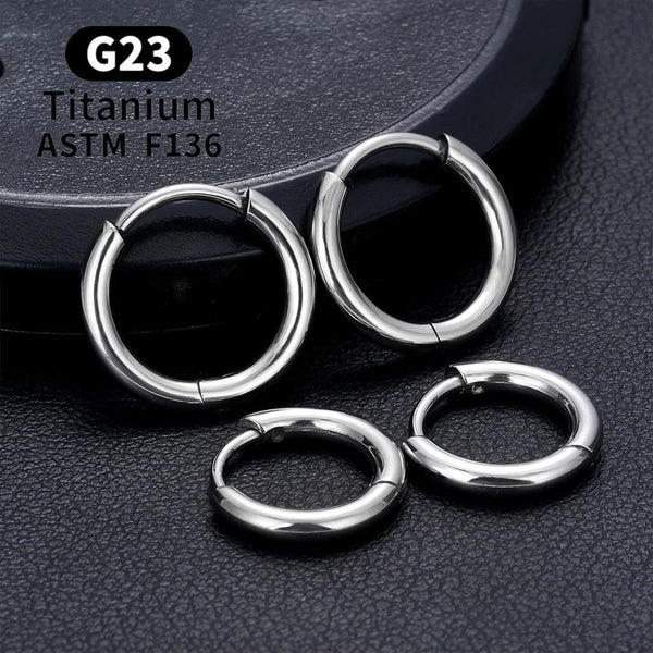 Planet Gates 2/20PCS G23 Titanium Earring Hoop CZ Hinged Segment Round Nose Ring for Women Ear Tragus Cartilage Helix Daith Piercing Jewelry